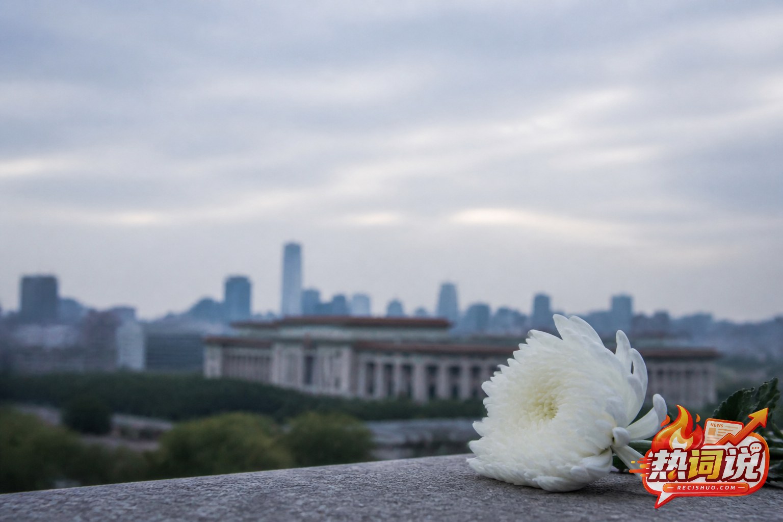 阴云下的北京城市建筑远景与一枝白菊构成的庄重纪念画面