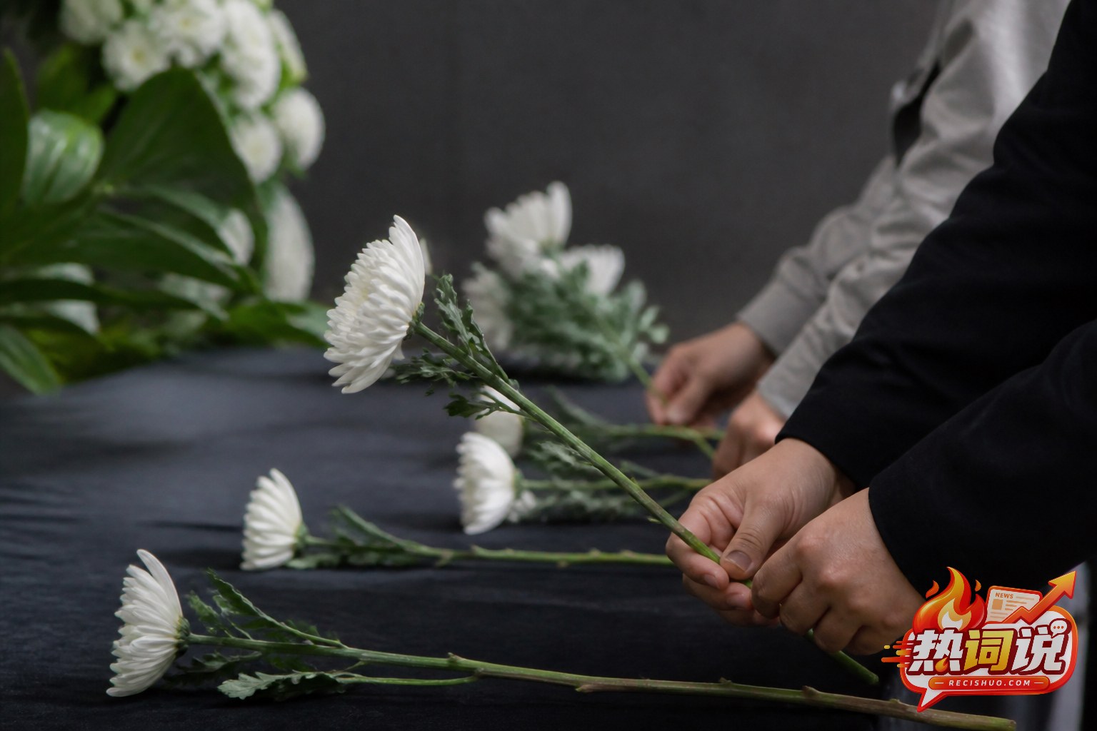 公众在肃穆环境中依次敬献白色菊花表达哀思
