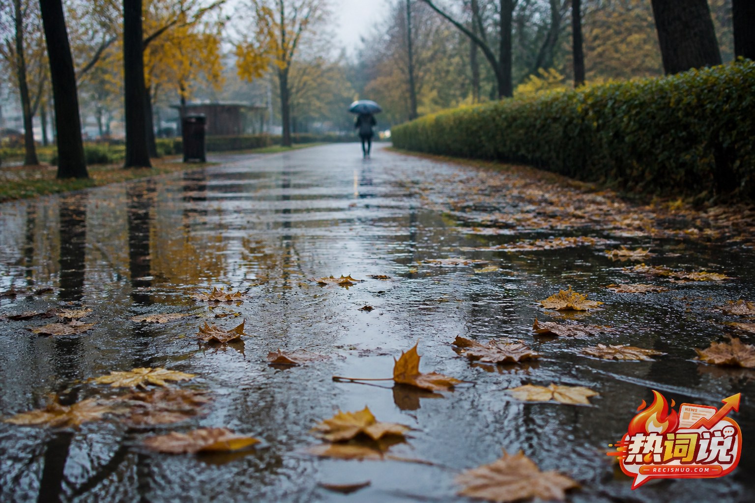 秋雨中的公园路面铺满湿润落叶,远处一人撑伞独行
