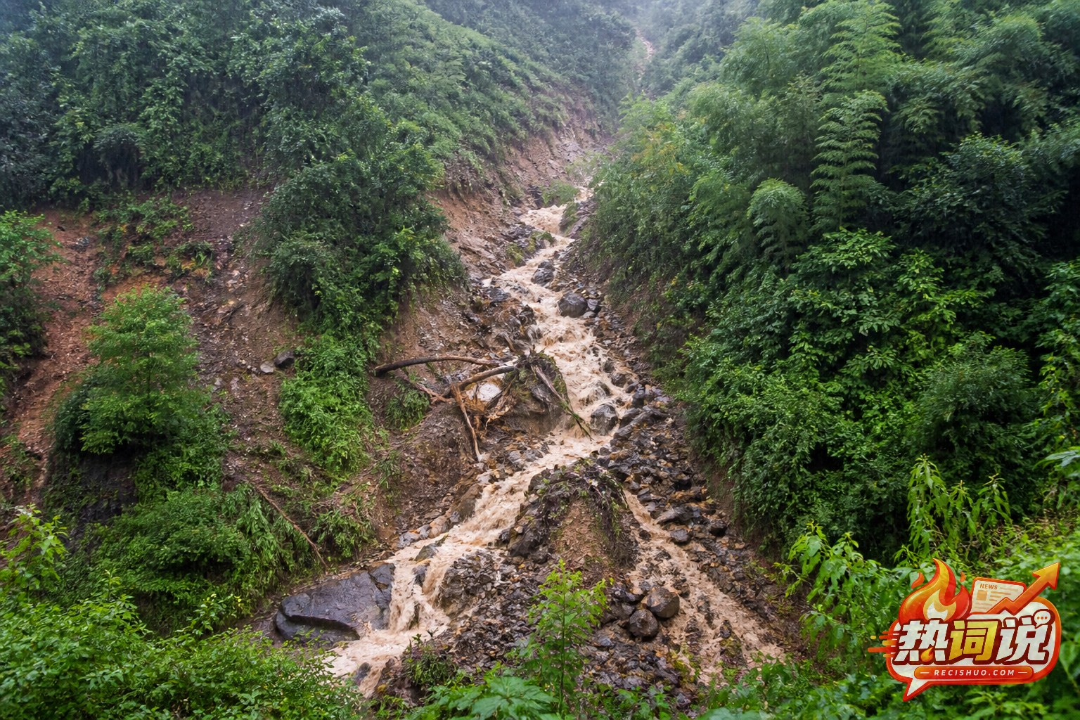 短时强降雨后泥水夹带石块和树枝沿山沟下泄的自然环境示意图