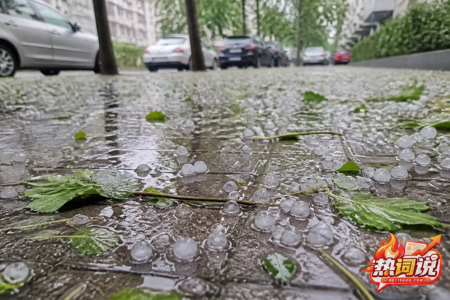 暴雨过后湿润路面散落小颗粒冰雹和被风吹落的树叶