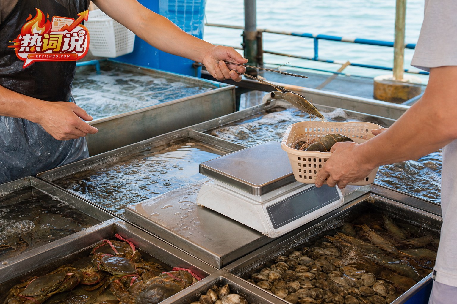 顾客在临海海鲜档口挑选活虾并确认称重
