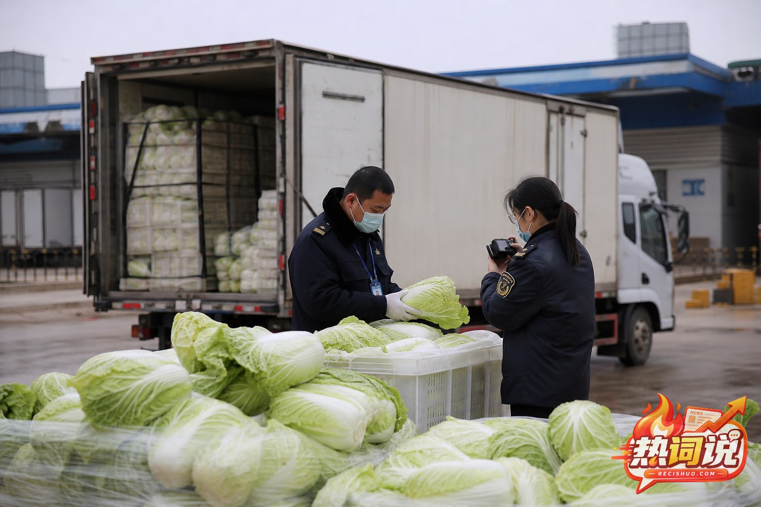 食品安全检查人员在装有大白菜的货车旁核查菜品