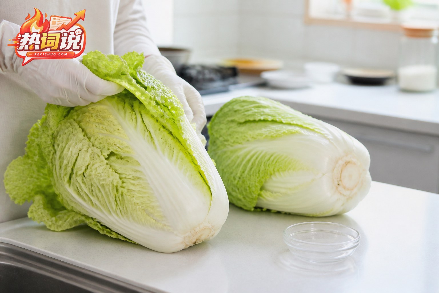 戴手套检查新鲜大白菜外层叶片和内部状态的厨房场景