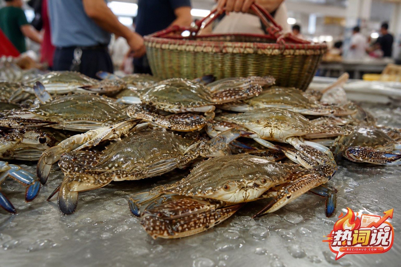 江浙沪海鲜市场柜台上集中陈列的新鲜梭子蟹