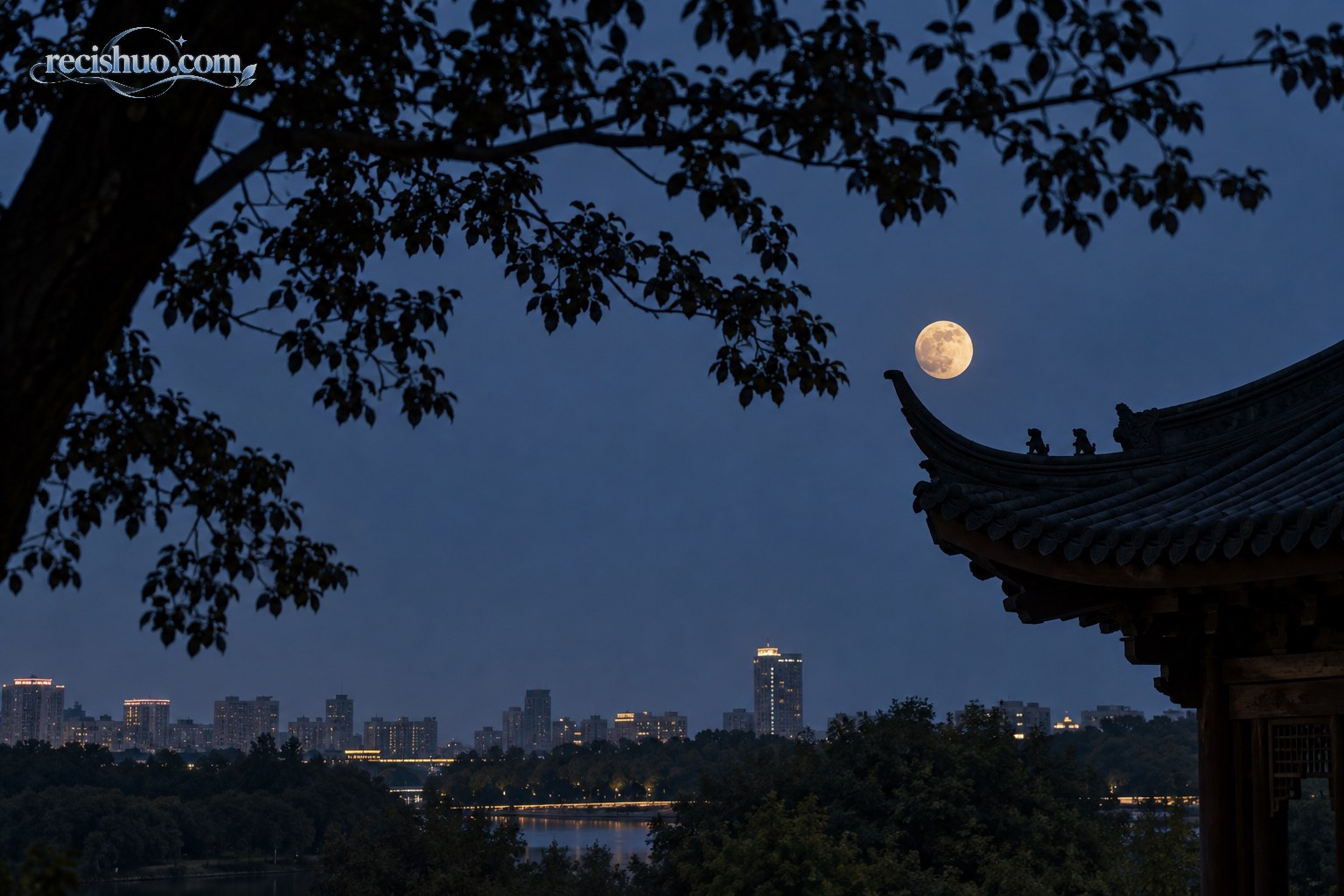 树枝与传统屋檐剪影共同衬托夜空中的月亮