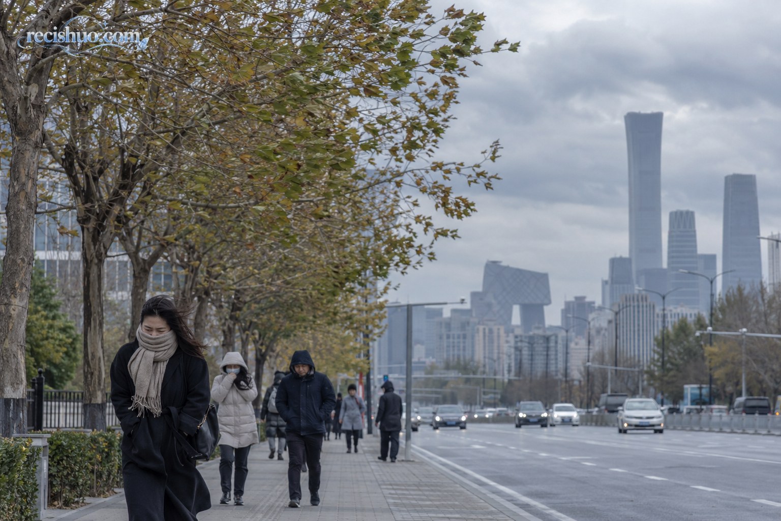 冷空气影响下的城市街道,行道树随风摆动,市民穿着厚外套出行