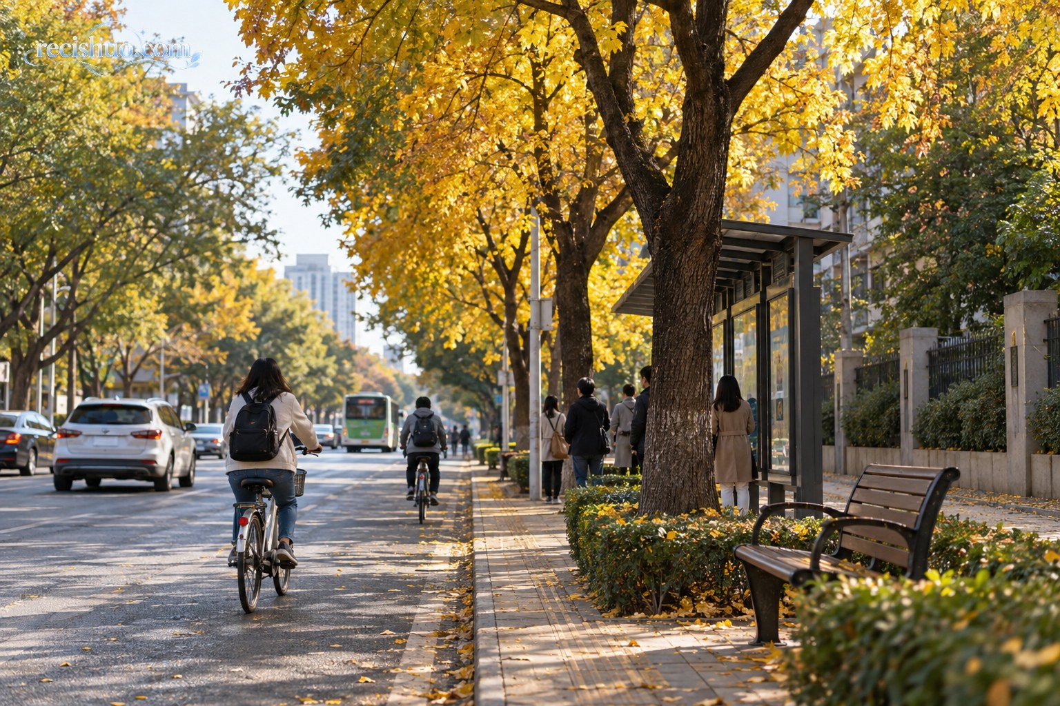 城市街道的金黄行道树下骑行者与候车人构成秋日生活画面