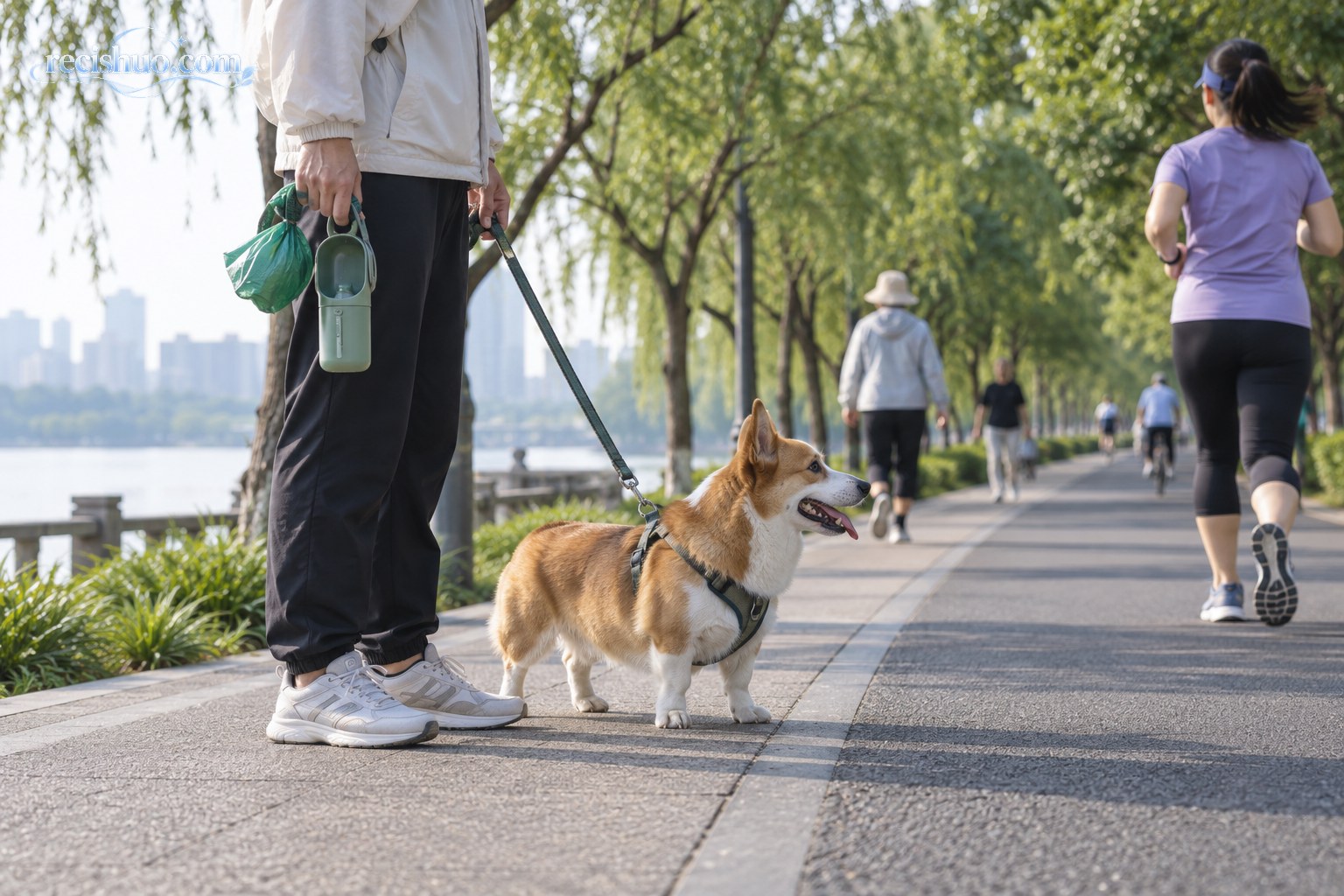 滨水绿道上,主人牵着宠物犬并随身携带拾便袋和水壶
