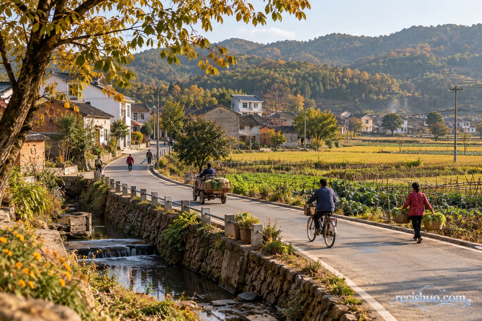 秋日革命老区乡村道路连接民居农田与居民日常生活