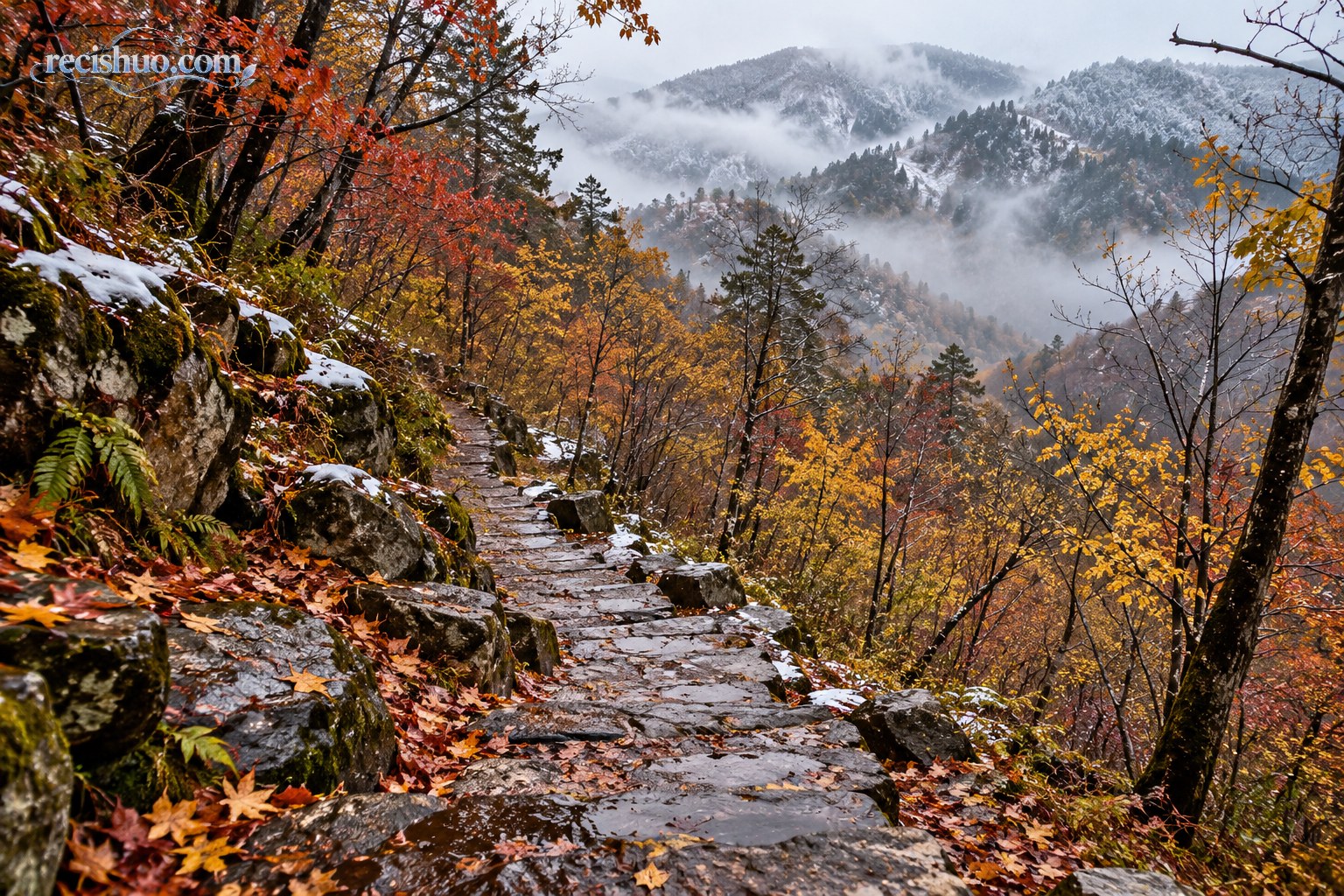 湿润石阶穿过秦岭红黄树林并通向雾中的薄雪山地